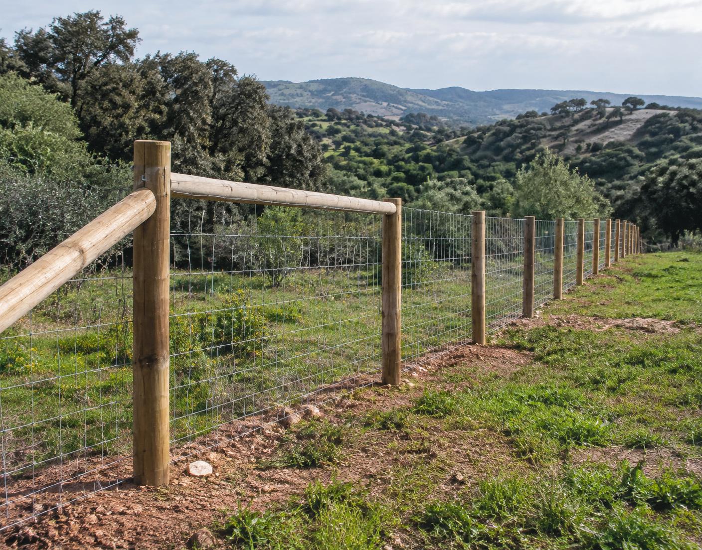 Exemplo ilustrativo de vedação agrícola em madeira tratada